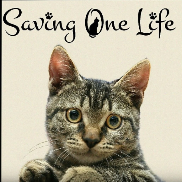 Meet your Posher, Adrienne - Picture 6 of 16